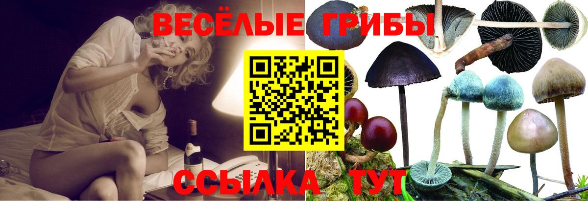где продают наркотики  Вход с VPN  Тихвин  Псилоцибиновые грибы ЛСД 